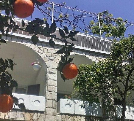 House Orange Apartments Χέρτσεγκ Νόβι Εξωτερικό φωτογραφία