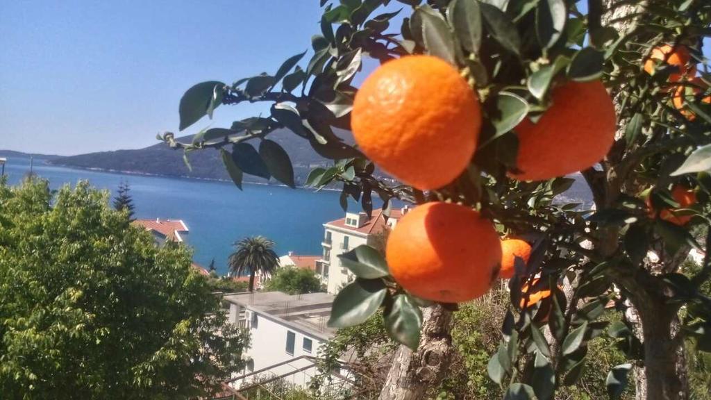 House Orange Apartments Χέρτσεγκ Νόβι Εξωτερικό φωτογραφία