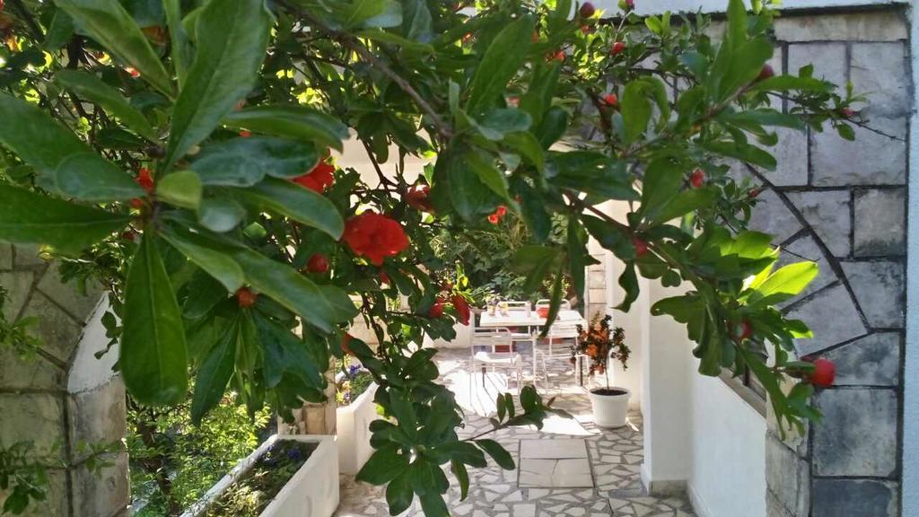 House Orange Apartments Χέρτσεγκ Νόβι Εξωτερικό φωτογραφία